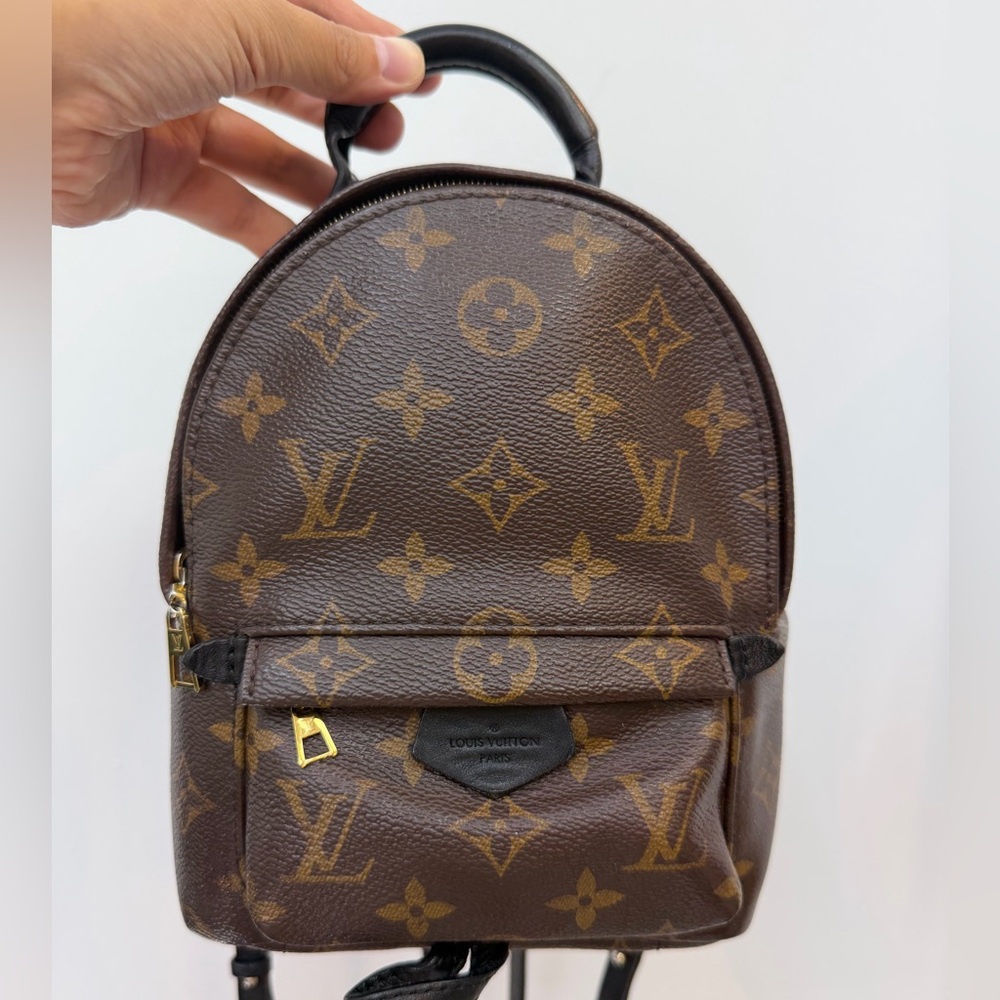 Louis Vuitton Monogram Mini Backpack